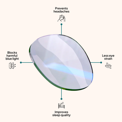 Nate - 2 in 1 Clip On Glasses